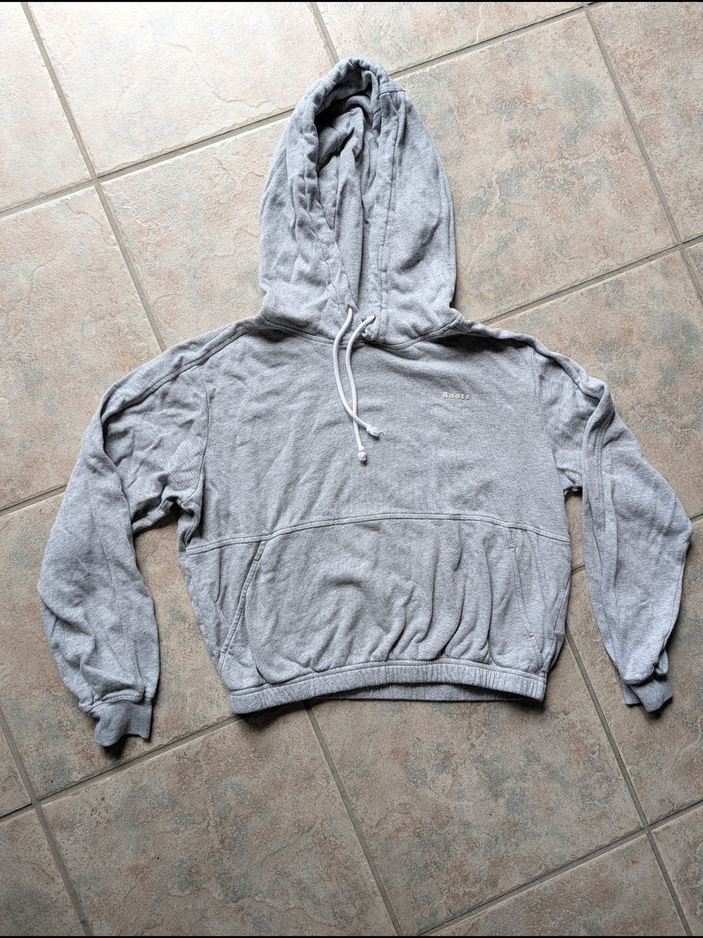 Roots Grey Hoodie